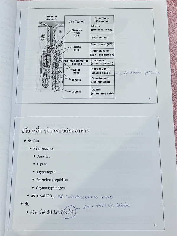 ►ครูพี่อร◄ ครูอติพร โค้งสุดท้าย ชีวะม.ต้น สรุปเนื้อหาวิชาชีววิทยาระดับชั้น ม.1-ม.3 มีจดครบเกือบทั้งเล่ม จดละเอียด ด้านหลังมีโจทย์แบบฝึกหัด มีจดเฉลยครบเกือบทุกข้อ อาจารย์มีเน้นย้ำจุดสำคัญที่ควรจำ ควรใส่ใจเป็นพิเศษ