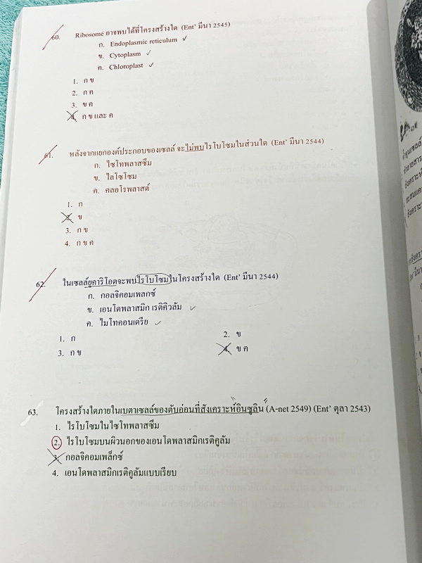 ►หมอพิชญ์ Biobeam◄ หนังสือเรียนวิชาชีววิทยาคอร์ส ICU ไอซียู ครบเซ็ท 8 เล่ม สรุปเนื้อหาระดับชั้น ม.ปลาย ทั้งหมด เนื้อหาครอบคลุมระดับชั้น ม.4-5-6 เพื่อเตรียมตัวสอบเข้ามหาวิทยาลัย สอบแพทย์ กสพท. มีโจทย์และโจทย์ข้อสอบจริงประจำบท ในหนังสือเล่ม 1-5 จดครบเกือบทั