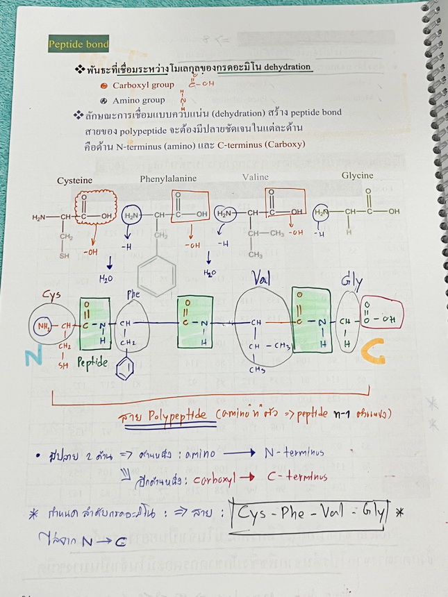 ►หมอพิชญ์ Biobeam◄ หนังสือเรียนชีววิทยาคอร์ส ICU ไอซียู ครบเซ็ท 8 เล่ม พร้อมไฟล์จดเนื้อหาครบทั้งเซ็ทแบบละเอียดมากครบทั้ง 8 เล่ม และไฟล์ชีทเสริม ในหนังสือจดครบเกือบทั้งเล่ม จดละเอียด มีวาดภาพประกอบเนื้อหาเยอะมาก มีโจทย์แบบทดสอบประจำบท มีจดเฉลยครบเกือบทั้งห