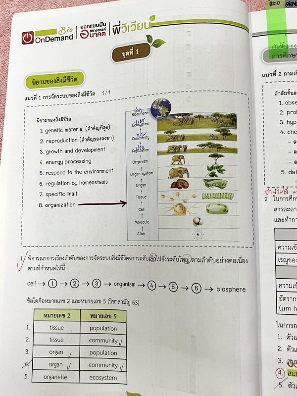 ►A-Level◄ หนังสือกวดวิชาออนดีมานด์ Upskill อัพสกิลชีววิทยา A-Level เล่ม 1-2 มีสรุปเนื้อหาสำคัญสั้นๆกระชับ เพื่อใช้เตรียมสอบ ม.ปลาย A-Level มีโจทย์เยอะมาก จดบางหน้า จดละเอียด ไม่มีเฉลย หนังสือเล่มใหญ่