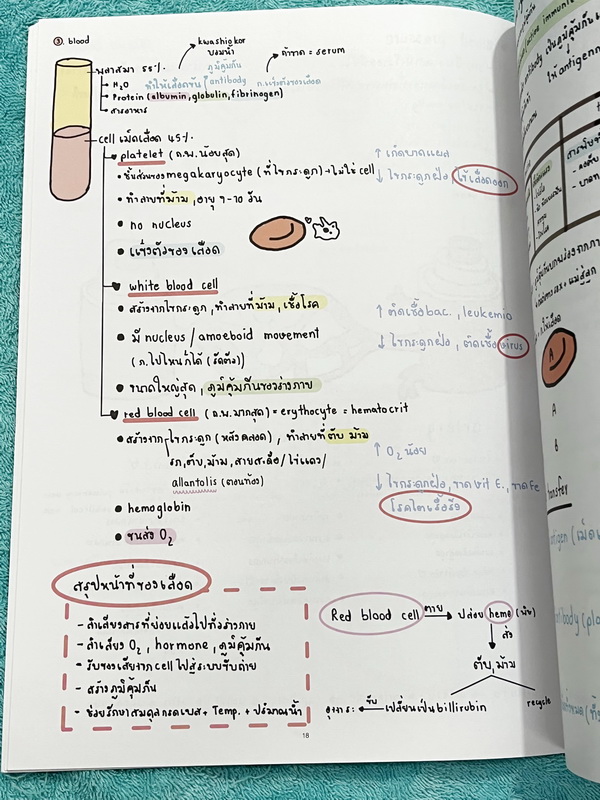 ►หนังสือรุ่นพี่เตรียมอุดม◄ Biology Short Note Form หนังสือสรุปชีววิทยา สรุปย่อๆกระชับให้เห็นภาพรวมของTopic + เนื้อหาทั้งหมดที่ต้องใช้สอบเข้าเตรียมอุดม พิมพ์สีสวยงาม เนื้อหาพิมพ์สมบูรณ์ หนังสือหนา 48 หน้า