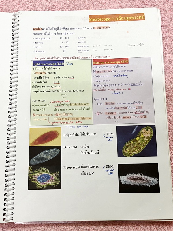 ►หมอพิชญ์ Biobeam◄ Set หนังสือคอร์ส Coma 2 เล่ม ประกอบด้วยเล่มสรุปเนื้อหาและเล่ม Quiz ตะลุยโจทย์ - เล่มสรุปเนื้อหา มีสรุปชีววิทยาระดับชั้น ม.ปลายทั้งหมด เพื่อเตรียมตัวสอบเข้ามหาวิทยาลัย เนื้อหาตีพิมพ์สมบูรณ์ทั้งเล่ม จดครบเกือบทั้งเล่ม จดละเอียด หนังสือพิม