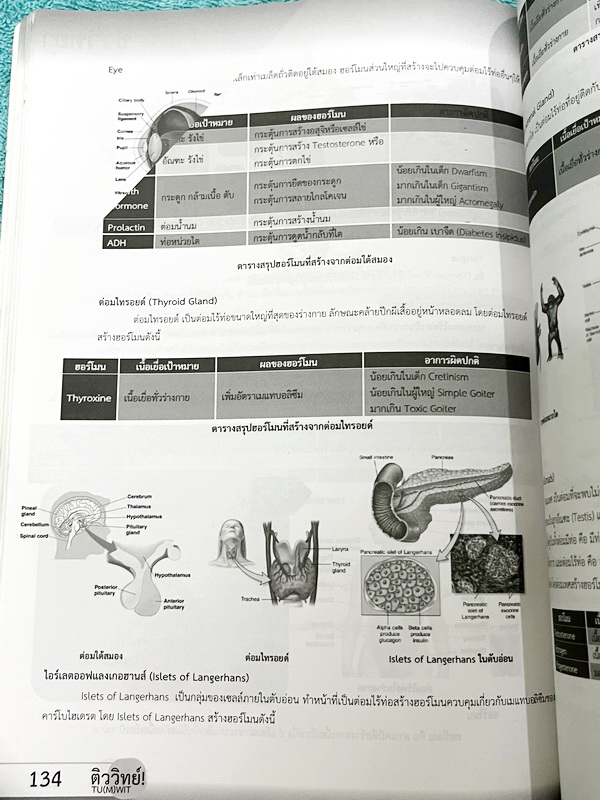 ►โค้งสุดท้าย◄ หนังสือสรุปวิทยาศาสตร์ม.ต้น ติววิทย์ โค้งสุดท้ายก่อนสอบฟิตได้ใน 7 วัน มีสรุปเนื้อหาและเทคนิคการทำข้อสอบวิชาวิทยาศาสตร์สำหรับสอบเข้า ม.4 เตรียมอุดม มหิดล และร.ร.ทั่วประเทศ มีแนวข้อสอบจากสนามสอบจริง ข้อสอบยอดฮิตออกทุกปีมากกว่า 500 ข้อ มีเฉลยด้
