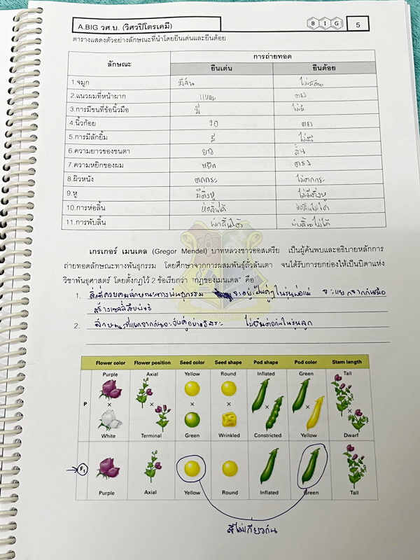 ►สสวท. ป.5◄ หนังสือเรียนพิเศษ อ.บิ๊ก ป.5 สสวท. เล่ม 1-4 มีสรุปเนื้อหาและโจทย์ Test ข้อสอบประจำบท จดครบเกือบทั้งเล่ม จดละเอียด มีบางหน้าเว้นว่างไปบ้างไม่ได้จด หนังสือใส่ปกสันเกลียว เปิดอ่านง่าย