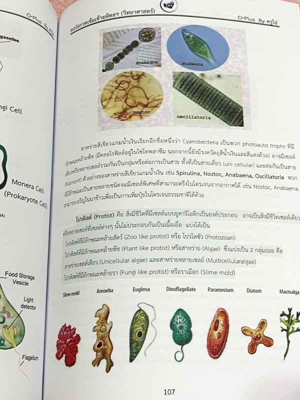 ►สอบเข้ามหิดล◄ พี่โอ๋โอพลัส Oplus วิทยาศาสตร์กวดเข้มเข้ามหิดลวิทยานุสรณ์ เล่ม 1+2 ครบเซ็ท สรุปเนื้อหาครบทุกบท มีแบบฝึกหัดประจำบท ในหนังสือมีจดบางหน้า จดละเอียด ทุกบทมีการบ้านเป็นตะลุยข้อสอบเก่า 12 ปีล่าสุด มีเฉลยครบทุกข้อ ด้านหลังมีข้อสอบ สสวท. วิชาวิทยาศ