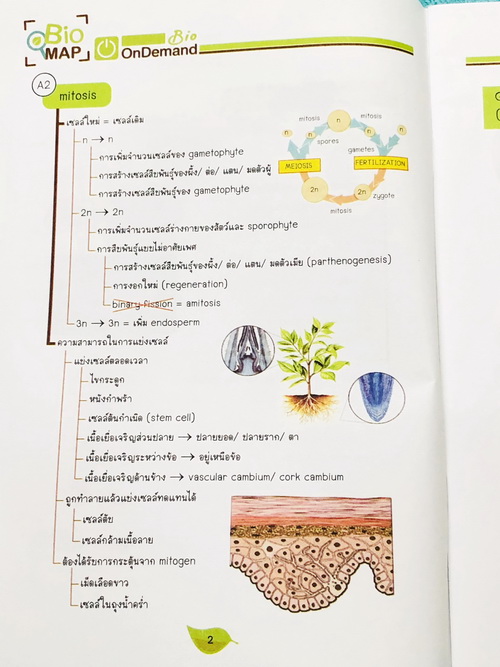 ►Bio Map Mini◄ ออนดีมานด์ พี่วิเวียน สรุปชีววิทยาฉบับพกพา มีสรุปเนื้อหาสำคัญ หนังสือพิมพ์สีทั้งเล่ม มีลำดับหัวข้อที่ชอบออกสอบบ่อยๆในข้อสอบ PAT2 มีเทคนิคลัดเยอะมาก หนังสือตีพิมพ์สมบูรณ์ทั้งเล่ม ในหนังสือมีเขียนเล็กน้อย