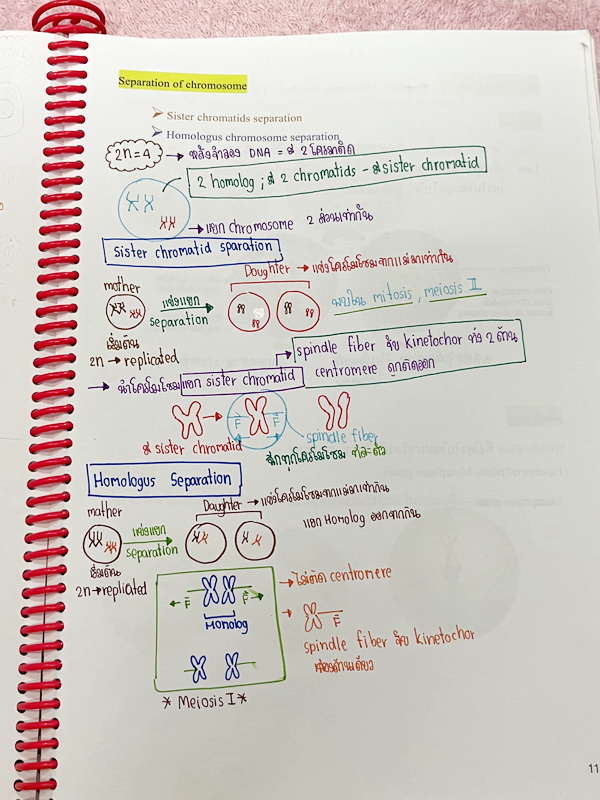 ►หมอพิชญ์ Biobeam◄ หนังสือเรียนชีววิทยา คอร์ส ICU ไอซียู ครบเซ็ท 8 เล่ม พร้อมไฟล์จดเนื้อหาครบทั้งเซ็ทแบบละเอียดมากครบทั้ง 8 เล่ม และไฟล์ชีทเสริม ในหนังสือเล่ม 1-6 จดครบเกือบทั้งเล่ม จดละเอียด มีวาดภาพประกอบเนื้อหาเยอะมาก , เล่ม 7-8 มีจดเล็กน้อย แบบฝึกหัดป