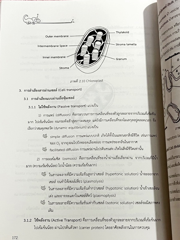 ►ร.ร.สวนกุหลาบ◄ Midsci หนังสือสรุปวิทยาศาสตร์สำหรับนักเรียนชั้น ม.ต้น เรียบเรียงโดย นักเรียนผู้แทนประเทศไทย และนักเรียนค่ายโอลิมปิกวิชาการ ร.ร.สวนกุหลาบวิทยาลัย ในหนังสือมีสรุปเนื้อหาวิชาวิทยาศาสตร์ ม.ต้น ฟิสิกส์ เคมี ชีววิทยา วิทยาศาสตร์กายภาพ ดาราศาสตร์