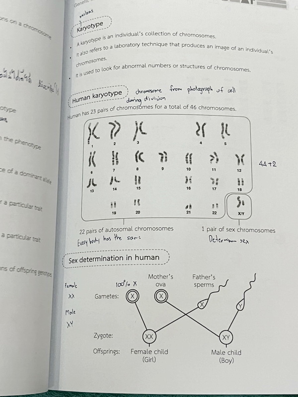 ►หนังสือ BMAT◄ หนังสือกวดวิชา Ignite by Ondemand เล่ม Foundation for BMAT วิชาชีววิทยา มีสรุปเนื้อหากระชับ มีโจทย์ประจำบท จดครบเกือบทั้งเล่ม จดละเอียด
