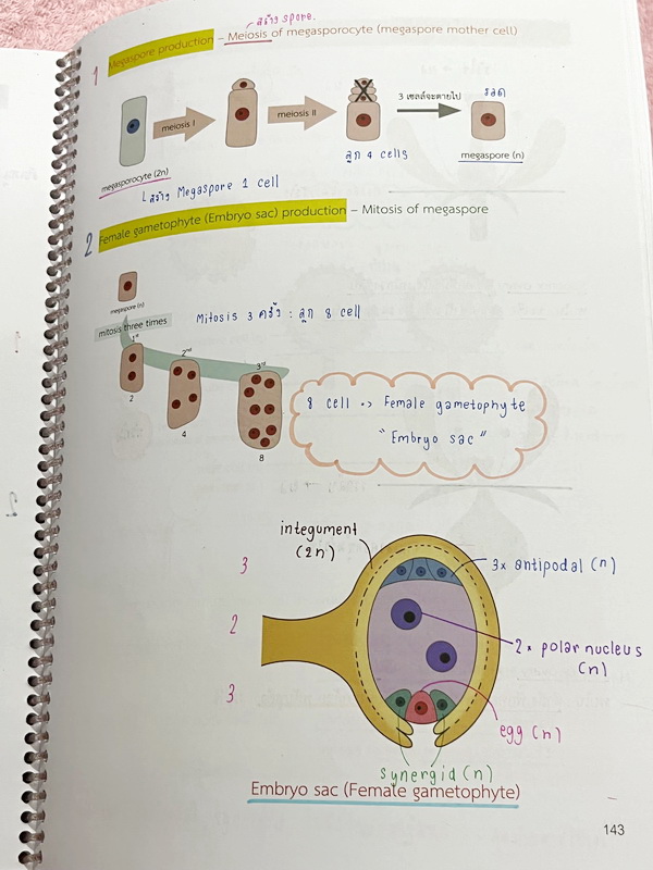 ►หมอพิชญ์ Biobeam◄ หนังสือกวดวิชาปี 2566 หมอพิชญ์ไบโอบีม ICU ไอซียู ครบเซ็ท 8 เล่ม สรุปเนื้อหาทั้งหมดในระดับชั้น ม.ปลาย ม.4-5-6 เนื้อหายากลึกถึงเตรียมตัวสอบเข้ามหาวิทยาลัย สอบแพทย์ TPAT 1 มีโจทย์ประจำบท ในหนังสือจดครบเกือบทั้งเล่ม จดละเอียด โจทย์มีจดเฉลยค