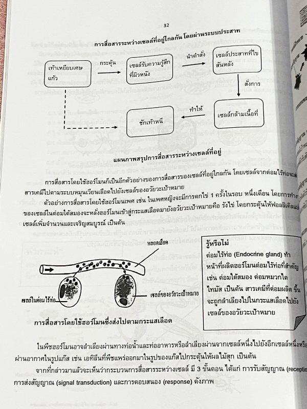 ►หนังสือประถมวิทย์◄ หนังสือกวดวิชาครูพจน์ ระดับชั้นป.6 ข้อสอบแนวแข่งขัน สสวท สพฐ ทีเด็ด โอเน็ต ความถนัดทางวิทย์ การประยุกต์โจทย์ การทดลอง เล่ม1-2 มีโจทย์ทั้งเล่ม โจทย์มีความยากเข้มข้นระดับ Advaned มีความยากลึกถึงเตรียมตัวสอบเข้า ม.1 ร.ร.ดัง มีจดเฉลยครบเกื