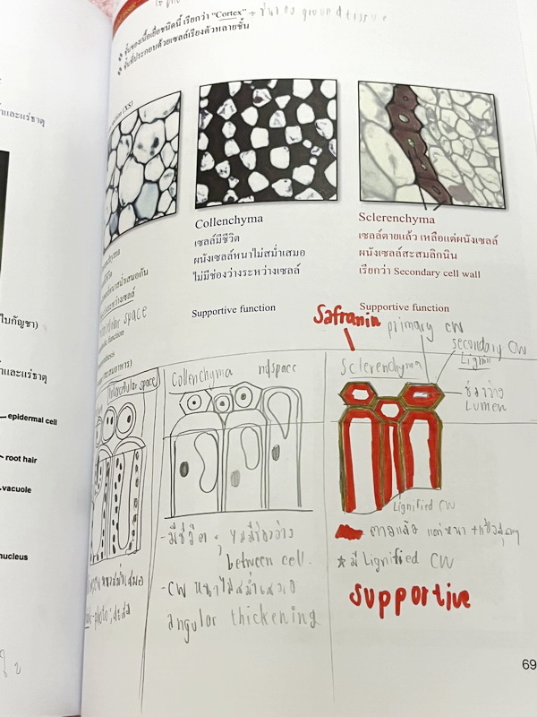 ►ชีววิทยา ม.ต้น◄ หนังสือกวดวิชาหมอพิชญ์ไบโอบีม Fundamental Biology ชีววิทยา ม.ต้น Biobeam สรุปเนื้อหาทุกบทในวิชาวิทยาศาสตร์ชีววิทยา ระดับชั้นมัธยมศึกษาตอนต้น ม.1-2-3 เนื้อหายากลึกถึงสอบเข้า ม.4 ร.ร.ดัง ในหนังสือจดครบเกือบทั้งเล่ม จดละเอียด มีวาดภาพประกอบเ
