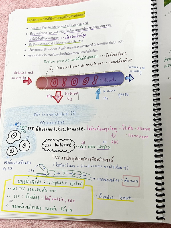 ►หมอพิชญ์ Biobeam◄ หนังสือกวดวิชาปี 2566 หมอพิชญ์ไบโอบีม ICU ไอซียู ครบเซ็ท 8 เล่ม สรุปเนื้อหาทั้งหมดในระดับชั้น ม.ปลาย ม.4-5-6 เนื้อหายากลึกถึงเตรียมตัวสอบเข้ามหาวิทยาลัย สอบแพทย์ TPAT 1 มีโจทย์ประจำบท ในหนังสือจดครบเกือบทั้งเล่ม จดละเอียด โจทย์มีจดเฉลยค
