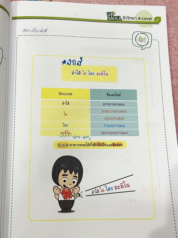 ►A-Level◄ หนังสือกวดวิชาออนดีมานด์ Upskill อัพสกิลชีววิทยา A-Level เล่ม 1-2 มีสรุปเนื้อหาสำคัญสั้นๆกระชับ เพื่อใช้เตรียมสอบ ม.ปลาย A-Level มีโจทย์เยอะมาก จดบางหน้า จดละเอียด ไม่มีเฉลย หนังสือเล่มใหญ่