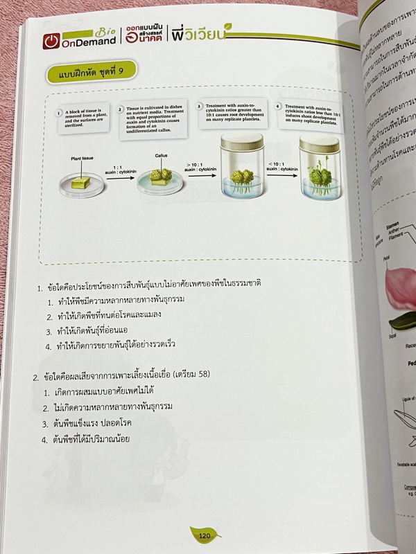 ►สอบเข้าเตรียมอุดม◄ หนังสือกวดวิชาพี่วิเวียน ออนดีมานด์ Upskill ตะลุยโจทย์ชีววิทยา เพื่อสอบเข้าโรงเรียนเตรียมอุดม เน้นฝึกทำโจทย์ทั้งเล่ม มีโจทย์ครบทุกเรื่องทุกบท โจทย์มีความยากระดับ Advanced เหมาะสำหรับเด็กที่มีพื้นฐานดี หนังสือไม่มีรอยขีดเขียน ไม่มีเฉลย