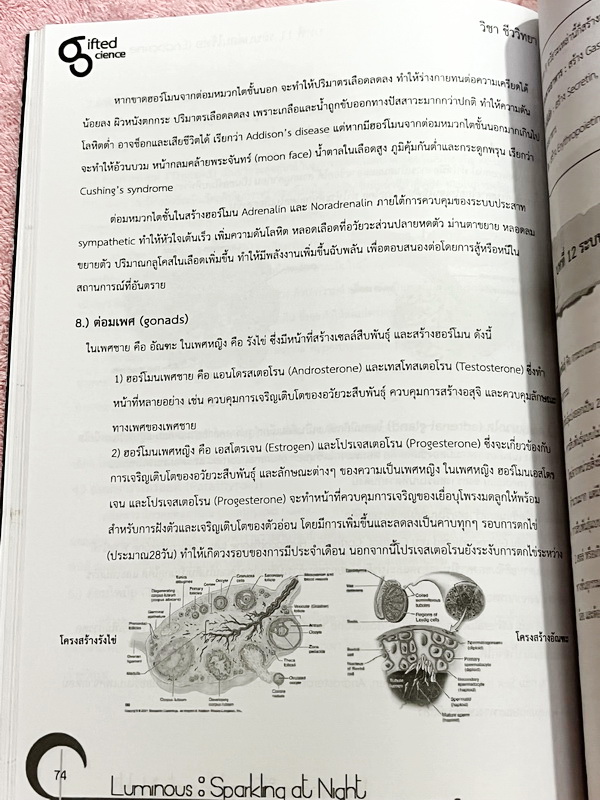 ►หนังสือรุ่นพี่เตรียมอุดม◄ Luminous หนังสือสรุปเนื้อหาสาระการเรียนรู้ วิทยาศาสตร์กายภาพ ชีววิทยา เรียบเรียงโดยรุ่นพี่นักเรียนโรงเรียนเตรียมอุดมศึกษา มีสรุปเจาะเนื้อหาวิชาวิทย์กายและวิชาชีววิทยาโดยเฉพาะ มี Tips เทคนิคลัดในการทำข้อสอบแทรกอยู่หลายข้อ มีโจทย์