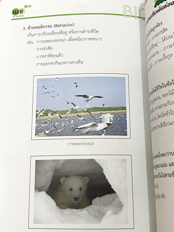 ►We Brain◄ หนังสือวีเบรน Biology For Junior ชีววิทยา ม.ต้น 5 เล่ม สรุปเนื้อหาระดับชั้นม.1-ม.3 มีโจทย์แบบทดสอบประจำบท เนื้อหาบางจุดที่เว้นไว้ให้เติมเอง จดบางหน้า จดละเอียด ไม่มีเฉลย หนังสือสภาพแทบใหม่เอี่ยม หนังสือพิมพ์สีสวยงาม