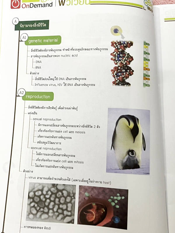 ►ออนดีมานด์◄ พี่วิเวียน หนังสือกวดวิชาคอร์สรากศัพท์ชีววิทยา ม.ปลาย ในหนังสือมีสรุปเนื้อหาสมบูรณ์ มีแยกหมวดคำศัพท์ทางชีววิทยาแบ่งออกเป็น Prefix , Suffix และ Root แบบฝึกหัดไม่มีจด และไม่มีเฉลย มี Update ข้อสอบด้านหลัง หนังสือพิมพ์สีทั้งเล่ม หนังสือหนาเพียงแ