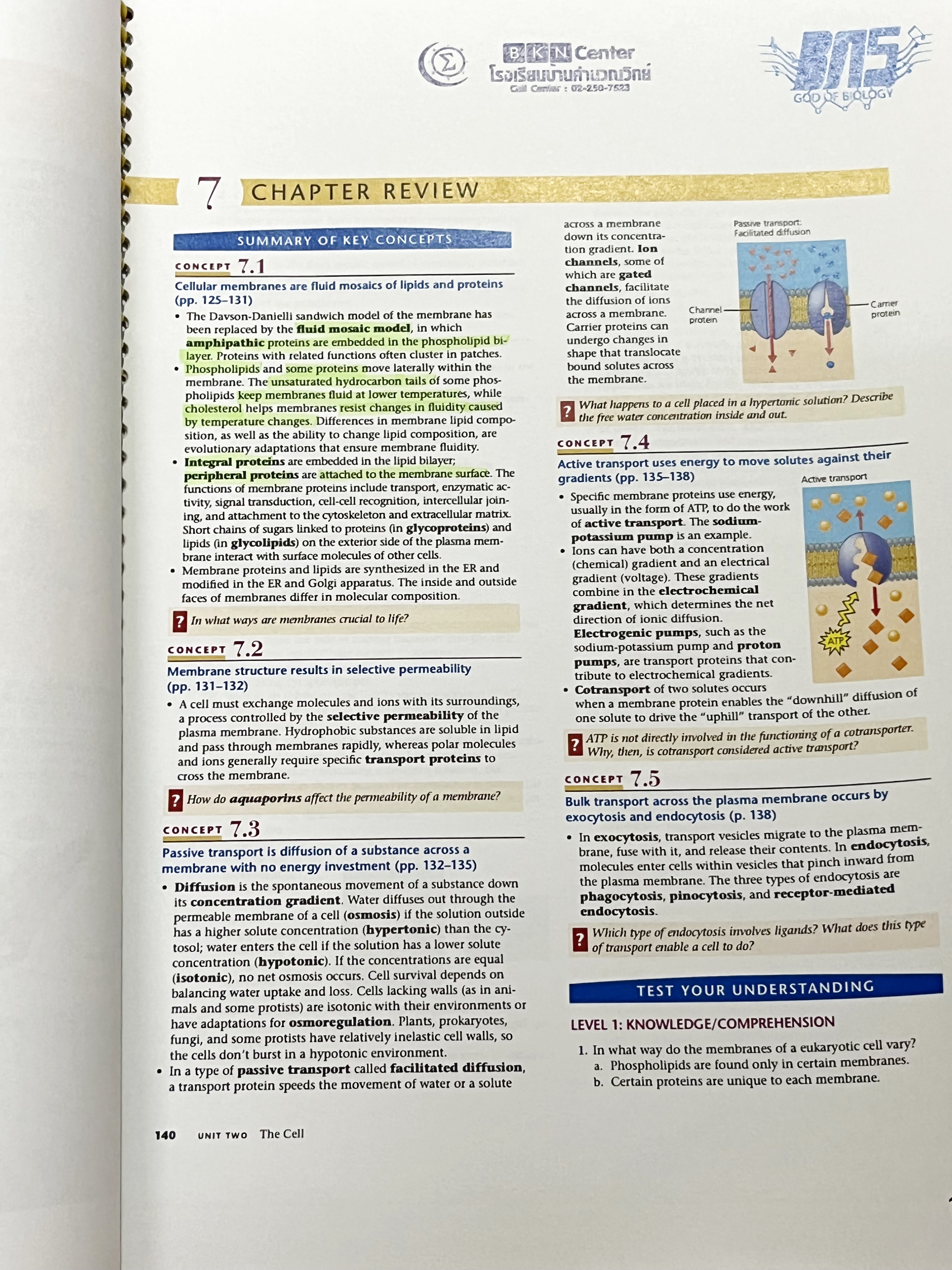 ►ครูบาส◄ หนังสือเรียนพิเศษ Basic Bio M.4 ในหนังสือมีสรุปเนื้อหาและตัวอย่างข้อสอบ จดครบเกือบทั้งเล่ม จดละเอียดด้วยปากกาสี ลายมือจดน้องผู้หญิงเป็นระเบียบเรียบร้อย ตั้งใจเรียน หนังสือพิมพ์สีสวยงามทั้งเล่ม หนังสือใส่ปกสันเกลียว เปิดอ่านง่าย