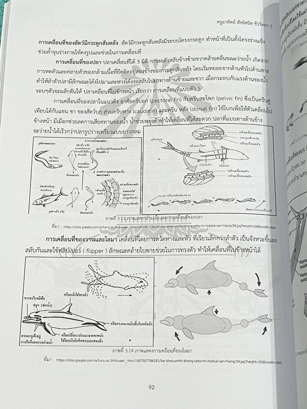►หนังสือเรียนโรงเรียนเตรียมอุดม◄ เอกสารประกอบการเรียนรายวิชาวิทยาศาสตร์ ชีววิทยา5 ระดับชั้น ม.6 จัดทำโดยกลุ่มสาระการเรียนรู้วิทยาศาสตร์ มีสรุปเนื้อหาและโจทย์แบบทดสอบ โจทย์เข้มข้น จดเล็กน้อย ไม่มีเฉลย หนังสือเล่มหนาใหญ่