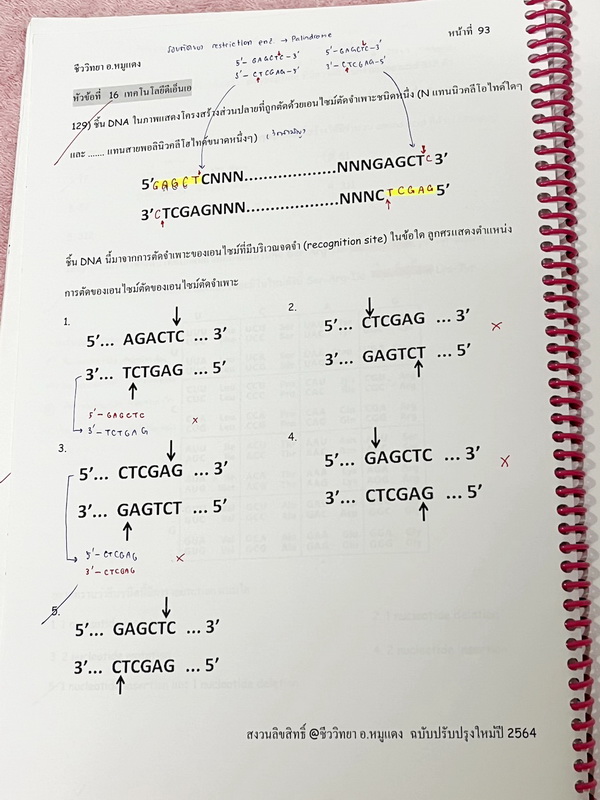 ►อ.หมูแดง◄ ชีววิทยาอาจารย์หมูแดง ชีววิทยาเพื่อสอบแพทย์ กสพท.และสอบเข้ามหาลัย จดครบเกือบทั้งเล่ม จดละเอียด หนังสือใส่ปกสันเกลียว เปิดอ่านง่าย หนังสือเล่มหนาใหญ่