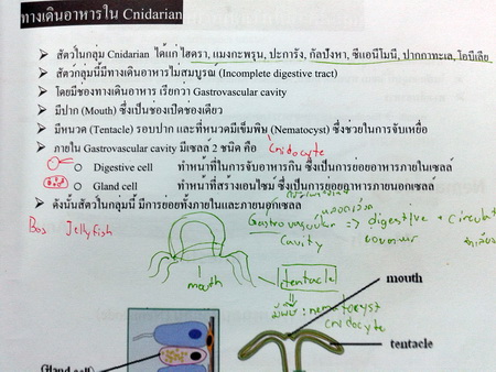 หนังสือ Biobeam : ชีววิทยา Basic Biology (OPD) Animals 1 หมอพิชญ์