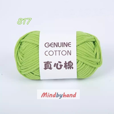 ไหมคอร์ฟิล (Core Fille) รหัสสี 817 Autumn fragrant green