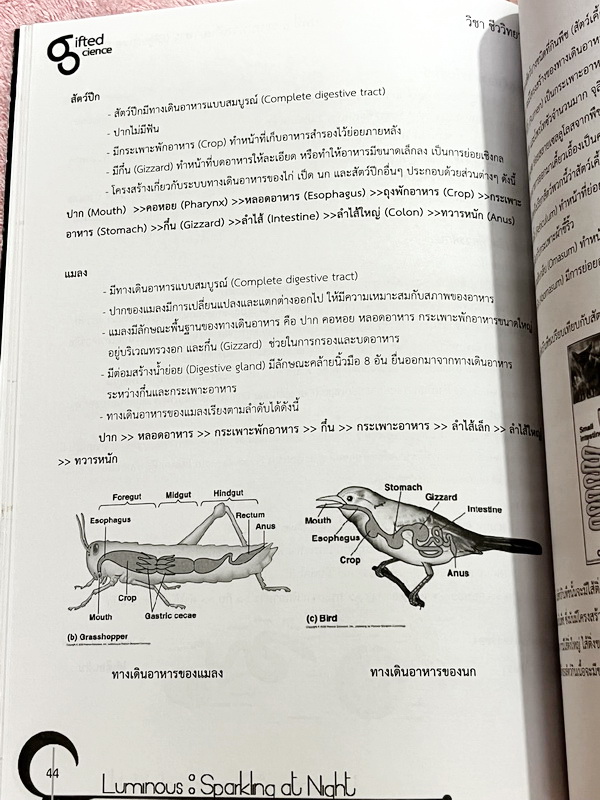 ►หนังสือรุ่นพี่เตรียมอุดม◄ Luminous หนังสือสรุปเนื้อหาสาระการเรียนรู้ วิทยาศาสตร์กายภาพ ชีววิทยา เรียบเรียงโดยรุ่นพี่นักเรียนโรงเรียนเตรียมอุดมศึกษา มีสรุปเจาะเนื้อหาวิชาวิทย์กายและวิชาชีววิทยาโดยเฉพาะ มี Tips เทคนิคลัดในการทำข้อสอบแทรกอยู่หลายข้อ มีโจทย์