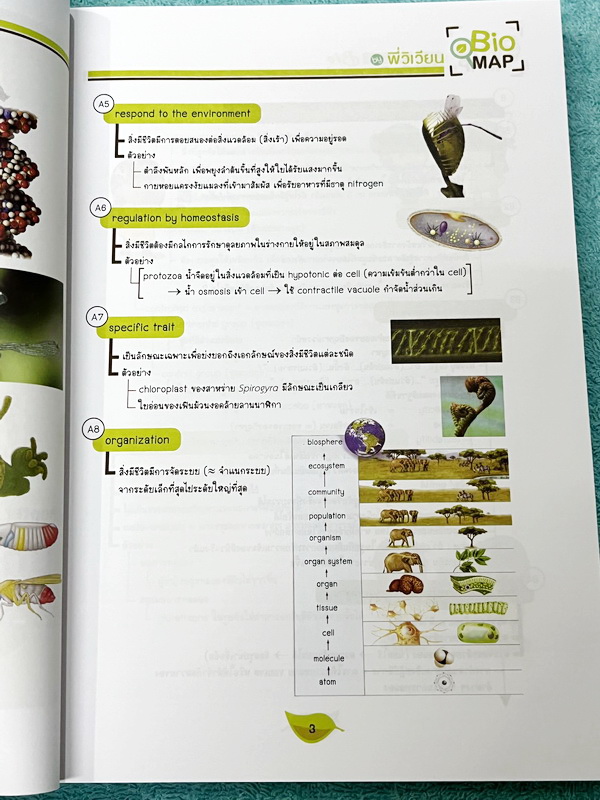 ►หนังสือสรุปชีววิทยา◄ หนังสือกวดวิชา Ondemand ออนดีมานด์ พี่วิเวียน นพ.วีรวัช Biomap ชีววิทยาเล่ม 1+2 สรุปเนื้อหาวิชาชีววิทยาระดับชั้น ม.ปลายทั้งหมด ครอบคลุมเนื้อหาตั้งแต่ชั้น ม.4-5-6 เนื้อหาลึกถึงสอบเข้ามหาวิทยาลัย เนื้อหาตีพิมพ์สมบูรณ์ หนังสือพิมพ์สีสวย