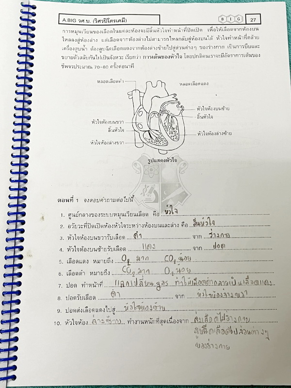 ►สสวท. ป.5◄ หนังสือเรียนพิเศษ อ.บิ๊ก ป.5 สสวท. เล่ม 1-4 มีสรุปเนื้อหาและโจทย์ Test ข้อสอบประจำบท จดครบเกือบทั้งเล่ม จดละเอียด มีบางหน้าเว้นว่างไปบ้างไม่ได้จด หนังสือใส่ปกสันเกลียว เปิดอ่านง่าย