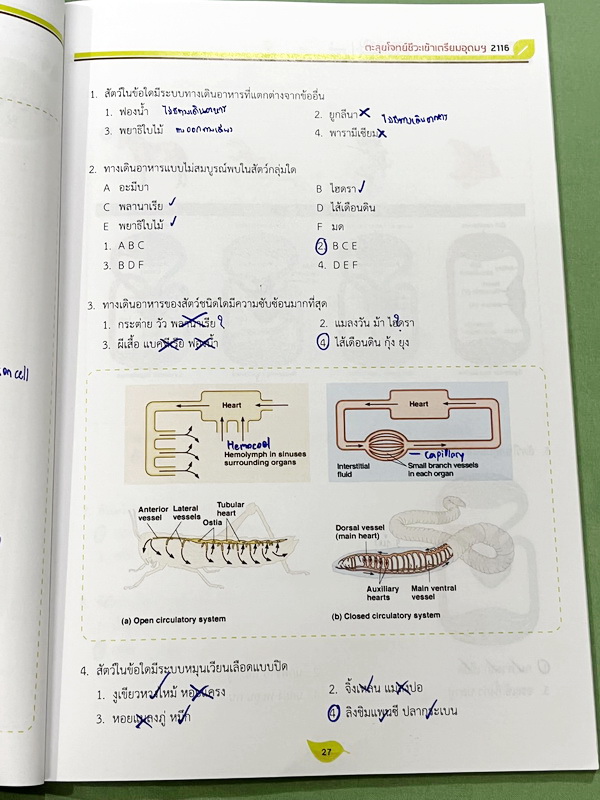 ►สอบเข้าเตรียมอุดม◄ หนังสือกวดวิชาออนดีมานด์ พี่วิเวียน Upskill ตะลุยโจทย์ชีวะสอบเข้าเตรียมอุดม รวมโจทย์ข้อสอบวิชาชีววิทยาเพื่อเตรียมตัวสอบเข้าเตรียมอุดม โจทย์มีความยากระดับ Advanced เหมาะสำหรับเด็กที่มีพื้นฐานดี มีจดเฉลยครบเกือบทั้งเล่ม จดละเอียด