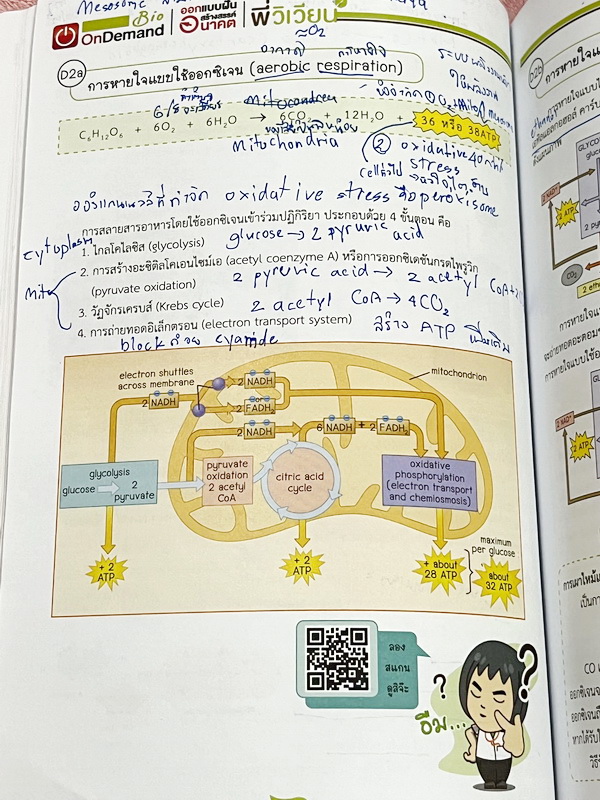 ►ออนดีมานด์◄ Set หนังสือเรียนพิเศษ + ไฟล์เฉลย วิชาวิทยาศาสตร์ ม.ต้น ชีววิทยาพี่วิเวียน เล่ม 1-8 ครบเซ็ท 8 เล่ม ครอบคลุมเนื้อหาตั้งแต่ระดับชั้นม.ต้น ม.1-2-3 เนื้อหายากลึกถึงสอบเข้า ม.4 โรงเรียนดัง จดบางหน้า จดละเอียด มีจดเทคนิคลัดการทำโจทย์ หนังสือพิมพ์สีใ