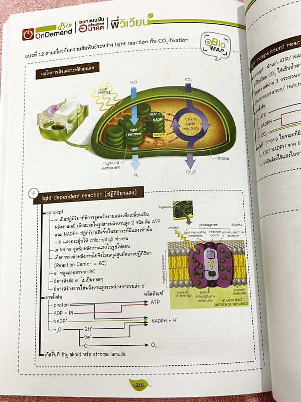 ►A-Level◄ หนังสือกวดวิชาออนดีมานด์ Upskill อัพสกิลชีววิทยา A-Level เล่ม 1-2 มีสรุปเนื้อหาสำคัญสั้นๆกระชับ เพื่อใช้เตรียมสอบ ม.ปลาย A-Level มีโจทย์เยอะมาก จดบางหน้า จดละเอียด ไม่มีเฉลย หนังสือเล่มใหญ่