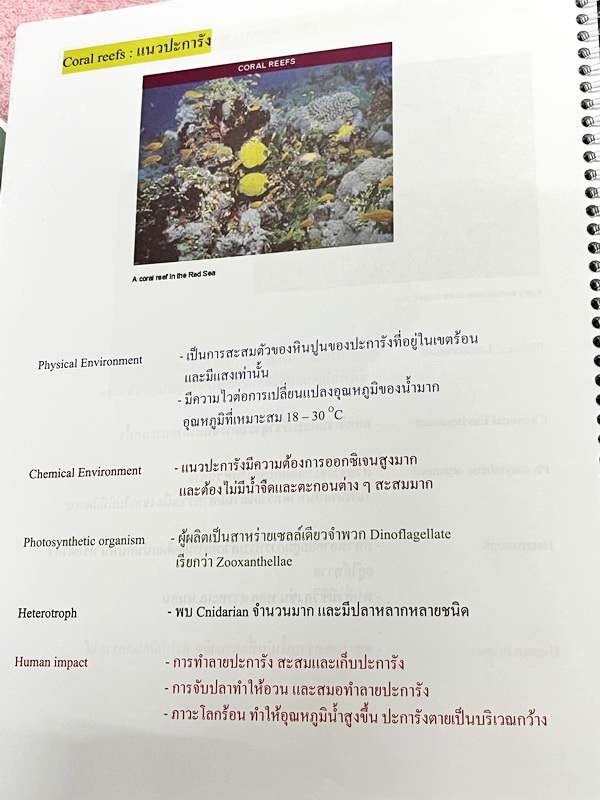 ►หมอพิชญ์ Biobeam◄ หนังสือเรียนชีววิทยา คอร์ส ICU ไอซียู ครบเซ็ท 8 เล่ม พร้อมไฟล์จดเนื้อหาครบทั้งเซ็ทแบบละเอียดมากครบทั้ง 8 เล่ม และไฟล์ชีทเสริม ในหนังสือเล่ม 1-3 มีจดบางหน้า จดละเอียด เล่ม 4-8 มีจดเล็กน้อย แบบฝึกหัดประจำบทมีจดเฉลยบางข้อ ส่วนข้อที่ไม่ได้จ