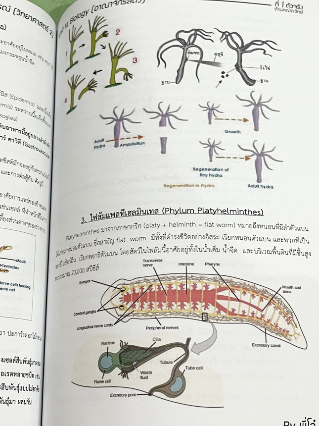 ►สอบเข้ามหิดล◄ พี่โอ๋โอพลัส Oplus วิทยาศาสตร์กวดเข้มเข้ามหิดลวิทยานุสรณ์ เล่ม 1+2 ครบเซ็ท สรุปเนื้อหาวิชาวิทยาศาสตร์ม.ต้น ม.1-2-3 ครบทุกบทเพื่อเตรียมตัวสอบเข้าม.4โรงเรียนมหิดลวิทยานุสรณ์ มีโจทย์แบบทดสอบประจำบท มีโจทย์ทั้งแบบ Seen และ Unseen มีจดบางหน้า จด