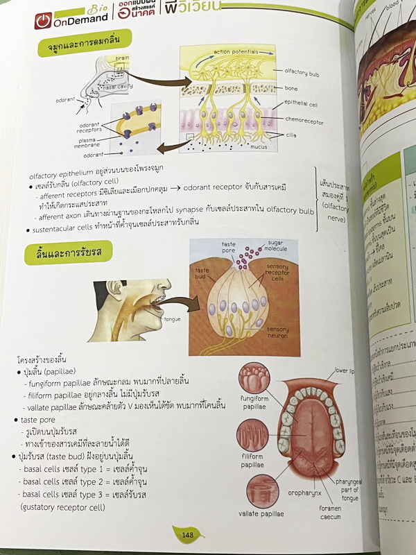 ►สอบเข้ากำเนิดวิทย์,มหิดล,เตรียมอุดม◄ หนังสือกวดวิชาออนดีมานด์ พี่วิเวียน ติวเข้มเนื้อหาชีววิทยา สอบเข้าเตรียมอุดม มหิดล กำเนิดวิทย์ และโรงเรียนแข่งขันสูง มีสรุปเนื้อหาและโจทย์แบบฝึกหัดประจำบท เนื้อหาตีพิมพ์สมบูรณ์ โจทย์มีความยากระดับ Advanced เหมาะสำหรับ