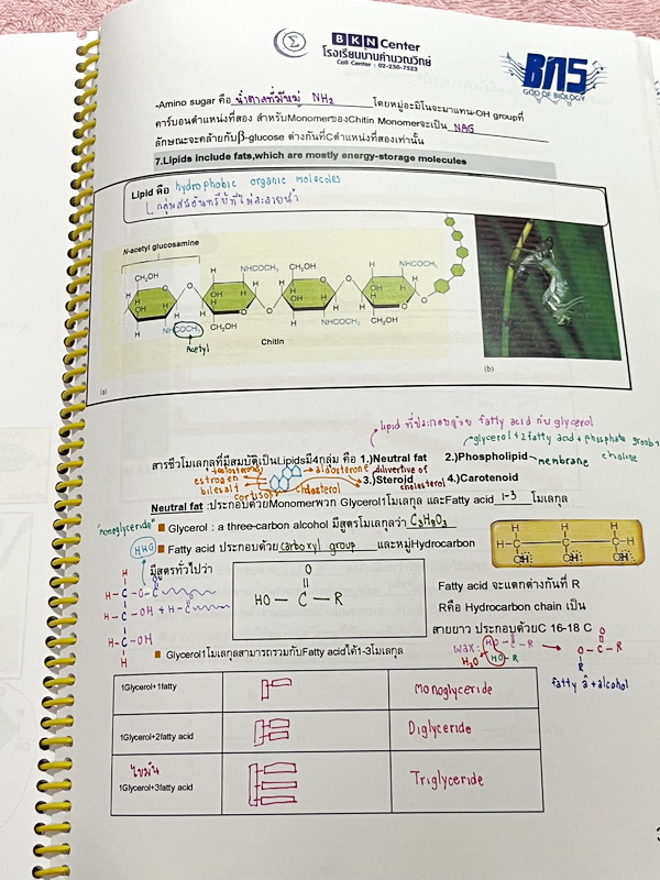 ►ครูบาส◄ หนังสือเรียนพิเศษ Basic Bio M.4 ในหนังสือมีสรุปเนื้อหาและตัวอย่างข้อสอบ จดครบเกือบทั้งเล่ม จดละเอียดด้วยปากกาสี ลายมือจดน้องผู้หญิงเป็นระเบียบเรียบร้อย ตั้งใจเรียน หนังสือพิมพ์สีสวยงามทั้งเล่ม หนังสือใส่ปกสันเกลียว เปิดอ่านง่าย