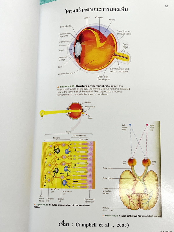 ►ยูเรก้า◄ Eureka หนังสือกวดวิชา อ.เอกฤทธิ์ ชีววิทยา ม.5 หลักสูตร B มีสรุปเนื้อหา โจทย์แบบฝึกหัดประจำบท ในหนังสือมีเขียนเล็กน้อย เนื้อหาตีพิมพ์สมบูรณ์ทุกบท ด้านหลังมีเฉลยของอาจารย์ และมีคำอธิบายเฉลยละเอียดบางข้อ หนังสือเล่มหนาใหญ่