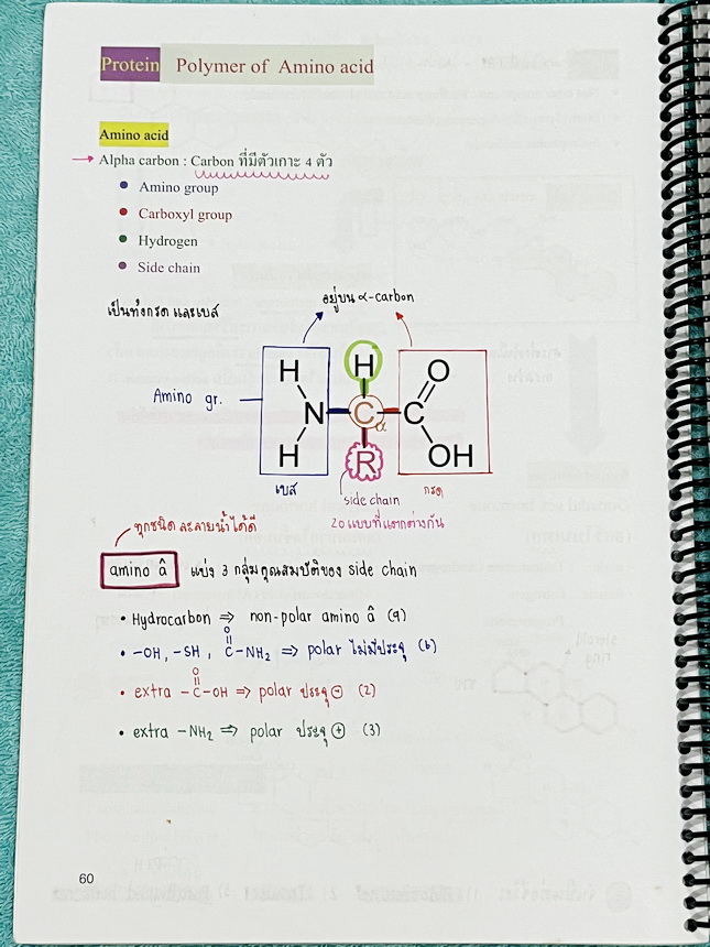 ►หมอพิชญ์ Biobeam◄ หนังสือเรียนชีววิทยา คอร์ส ICU ไอซียู ครบเซ็ท 8 เล่ม พร้อมไฟล์จดเนื้อหาครบทั้งเซ็ทแบบละเอียดมากครบทั้ง 8 เล่ม และไฟล์ชีทเสริม ในหนังสือจดครบเกือบทั้งเล่ม จดละเอียด มีวาดภาพประกอบเนื้อหาเยอะมาก แบบฝึกหัดประจำบทมีจดเฉลยบางข้อ เฉพาะเล่ม 8