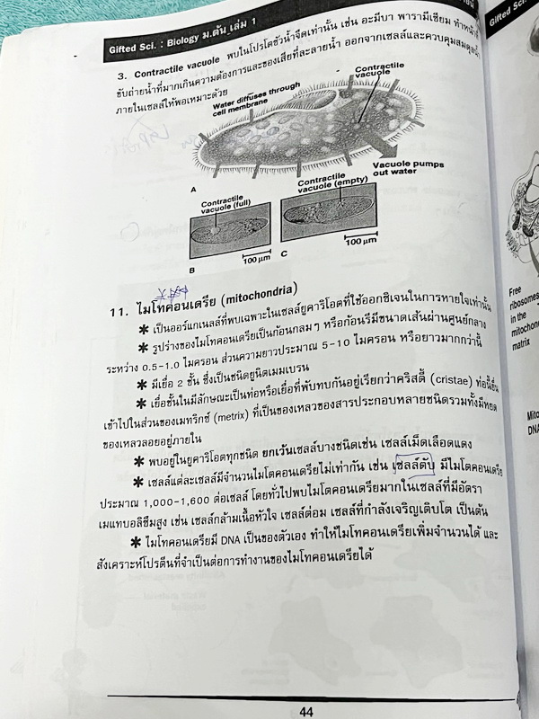 ►GIFTED SCI.◄ ASCI Tutor เอซายน์ ครูป้อม หนังสือเรียนวิทย์ ม.ต้น GIFTED SCI. ชีววิทยาเล่ม 1-2 มีสรุปเนื้อหา เนื้อหาตีพิมพ์สมบูรณ์ มีโจทย์ประจำบท จดบางหน้า จดละเอียด โจทย์ไม่มีเฉลย มีจดเน้นจุดที่ออกในข้อสอบ TU หนังสือเล่มหนาใหญ่