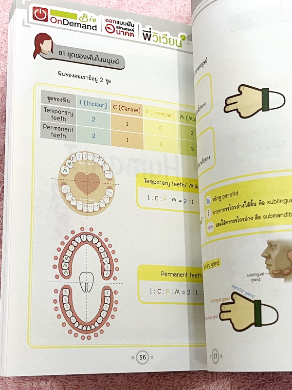 ►Bio Code◄ หนังสือชีววิทยาพี่วิเวียน ออนดีมานด์ Bio Code รวม Trick เทคนิคการจำ อารมณ์คล้ายๆสูตรลัดของคณิตศาสตร์ ออกแบบอ้างอิงการจดจำของสมอง เห็นปุ๊บ ตอบได้ปั๊บ ประหยัดเวลาด้วย Bio Code // ในหนังสือมีเขียนเล็กน้อย หนังสือพิมพ์สีสวยงามทั้งเล่ม หนังสือมีขนาด