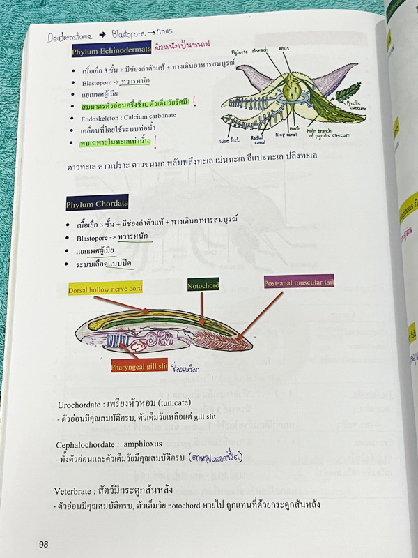 ►หมอพิชญ์ ไบโอบีม◄ Art Beam 2nd Edition อาร์ทบีมหมอพิชญ์ 2nd Edition สรุปเนื้อหาชีววิทยาทั้งหมด ครบทุกบททุกเรื่อง พิมพ์สีสวยงามทั้งเล่ม จดครบเกือบทั้งเล่ม จดละเอียด *มุมปกล่างมีรอยตัดเล็กน้อย*