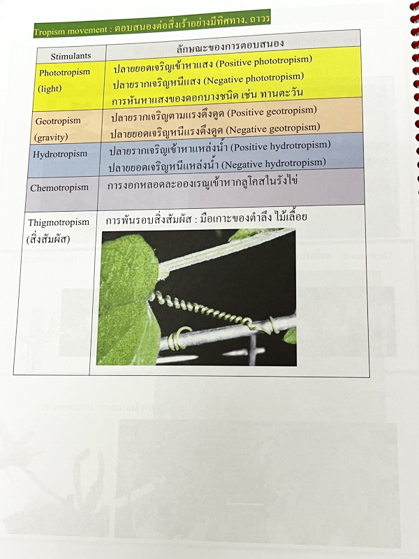 ►หมอพิชญ์ Biobeam◄ หนังสือเรียนชีววิทยา คอร์ส ICU ไอซียู ครบเซ็ท 8 เล่ม พร้อมไฟล์จดเนื้อหาครบทั้งเซ็ทแบบละเอียดมากครบทั้ง 8 เล่ม และไฟล์ชีทเสริม ในหนังสือเล่ม 1-6 จดครบเกือบทั้งเล่ม จดละเอียด มีวาดภาพประกอบเนื้อหาเยอะมาก , เล่ม 7-8 มีจดเล็กน้อย แบบฝึกหัดป
