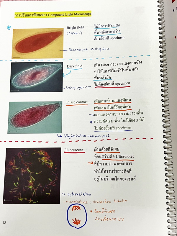 ►หมอพิชญ์ Biobeam◄ หนังสือเรียนชีววิทยา คอร์ส ICU ไอซียู ครบเซ็ท 8 เล่ม พร้อมไฟล์จดเนื้อหาครบทั้งเซ็ทแบบละเอียดมากครบทั้ง 8 เล่ม และไฟล์ชีทเสริม ในหนังสือเล่ม 1-3 มีจดบางหน้า จดละเอียด เล่ม 4-8 มีจดเล็กน้อย แบบฝึกหัดประจำบทมีจดเฉลยบางข้อ ส่วนข้อที่ไม่ได้จ