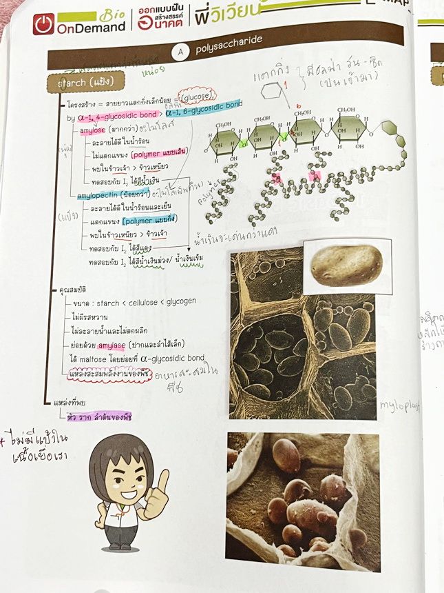 ►ชีววิทยาสอบ สอวน.◄ หนังสือเรียนออนดีมานด์ พี่วิเวียน ชีววิทยาเพื่อสอบ สอวน. สรุปเนื้อหาทั้งหมดเพื่อเตรียมตัวสอบ สอวน. เนื้อหาตีพิมพ์สมบูรณ์ทั้งหมด มีโจทย์ข้อสอบจริง สอวน. ทั้งเล่ม // หนังสือมีเขียนบางหน้า และไม่มีเฉลย หนังสือพิมพ์สวยงาม หนังสือเล่มหนาใหญ