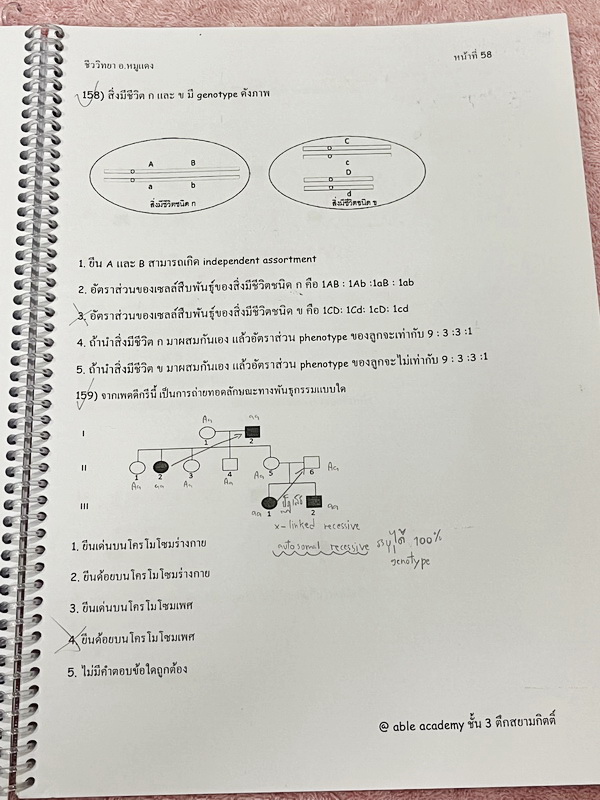 ►อ.หมูแดง◄ BIO 5121 หนังสือกวดวิชาชีววิทยา อ.หมูแดง ชีววิทยาเพื่อสอบเข้าแพทย์ กสพท. และสอบเข้ามหาวิทยาลัย Series 2 จดครบเกือบทั้งเล่ม มีวาดภาพประกอบเนื้อหาหลายหน้า มีจดเฉลยในกระดาษฝั่งซ้ายของหนังสือ จดละเอียด หนังสือใส่ปกสันเกลียว เปิดอ่านง่าย