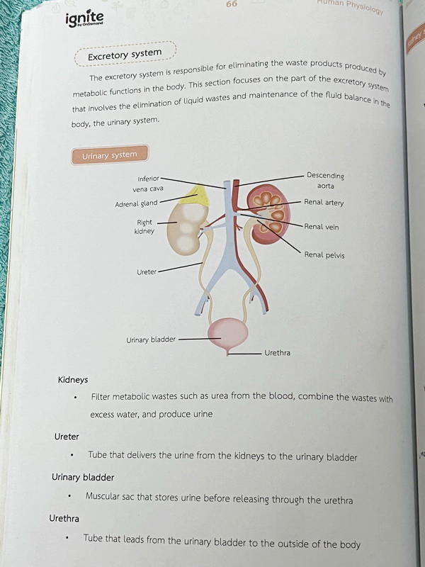 ►หนังสือ BMAT◄ หนังสือกวดวิชา Ignite by Ondemand เล่ม Foundation for BMAT วิชาชีววิทยา มีสรุปเนื้อหากระชับ มีโจทย์ประจำบท จดครบเกือบทั้งเล่ม จดละเอียด