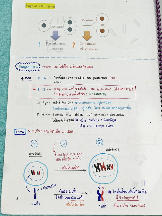 ►หมอพิชญ์ Biobeam◄ หนังสือเรียนชีววิทยา คอร์ส ICU ไอซียู ครบเซ็ท 8 เล่ม พร้อมไฟล์จดเนื้อหาครบทั้งเซ็ทแบบละเอียดมากครบทั้ง 8 เล่ม และไฟล์ชีทเสริม ในหนังสือจดครบเกือบทั้งเล่ม จดละเอียด มีวาดภาพประกอบเนื้อหาเยอะมาก แบบฝึกหัดประจำบทมีจดเฉลยบางข้อ เฉพาะเล่ม 8