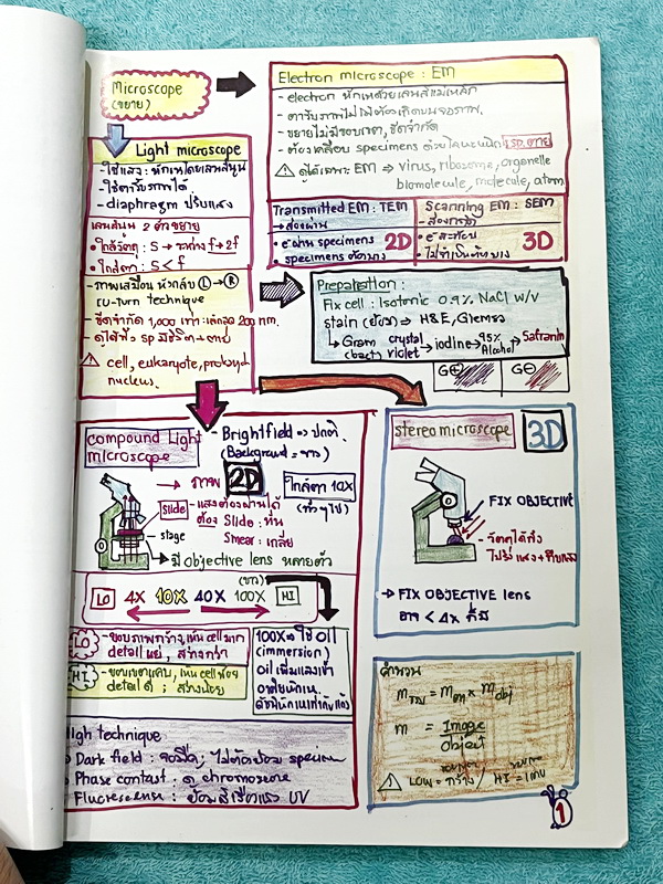 ►หมอพิชญ์ Biobeam◄ Art Beam Shortnote อาร์ทบีม หมอพิชญ์ไบโอบีม สรุปเนื้อหาวิชาชีววิทยาทั้งหมดด้วยลายมือของหมอพิชญ์เอง อาจารย์ลงมือเขียนและวาดรูปเองทุกหน้า พิมพ์สีสวยงาม กระดาษอาร์ทมันอย่างดีทั้งเล่ม *หน้าปกหนังสือมีรอยยับ *