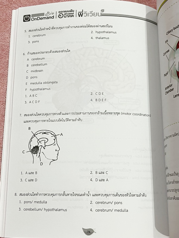 ►สอบเข้าเตรียมอุดม◄ หนังสือกวดวิชาพี่วิเวียน ออนดีมานด์ Upskill ตะลุยโจทย์ชีววิทยา เพื่อสอบเข้าโรงเรียนเตรียมอุดม เน้นฝึกทำโจทย์ทั้งเล่ม มีโจทย์ครบทุกเรื่องทุกบท โจทย์มีความยากระดับ Advanced เหมาะสำหรับเด็กที่มีพื้นฐานดี หนังสือไม่มีรอยขีดเขียน ไม่มีเฉลย